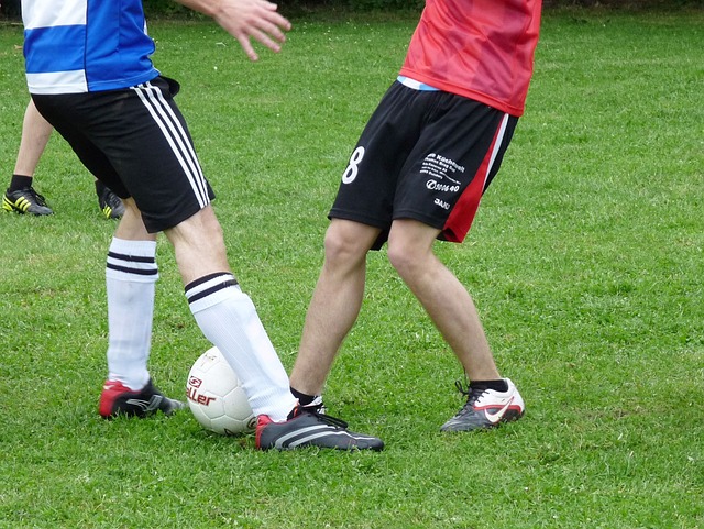 阿莫林再次 阿莫林再次